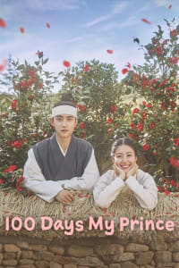 Download 100 Days My Prince (Season 1) Dual Audio (Hindi-Korean) WEB-DL ESubs 480p [250MB] || 720p [680MB] || 1080p [1.5GB]