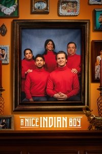 Download A Nice Indian Boy (2025) Dual Audio {Hindi-English} WEB-DL 480p [400MB] || 720p [950MB] || 1080p [2.1GB]