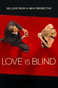 Download Love Is Blind (Season 1-11) [S11E05 Added] Dual Audio {Hindi-English} WeB-DL 720p [630MB] || 1080p [1.5GB]