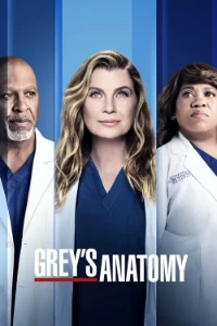 Download Grey’s Anatomy (Season 1-23) [E02 Added] {English With Subtitles} 720p Bluray [280MB] || 1080p [1GB]