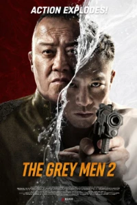 Download The Grey Men 2 (2025) Dual Audio (Chinese-Hindi) Esubs WEB-DL 480p [335MB] || 720p [920MB] || 1080p [2.1GB]