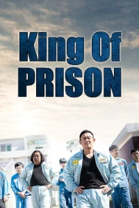 Download King of Prison (2020) Dual Audio (Hindi-English) Esubs WEB-DL 480p [355MB] || 720p [980MB] || 1080p [2.2GB]
